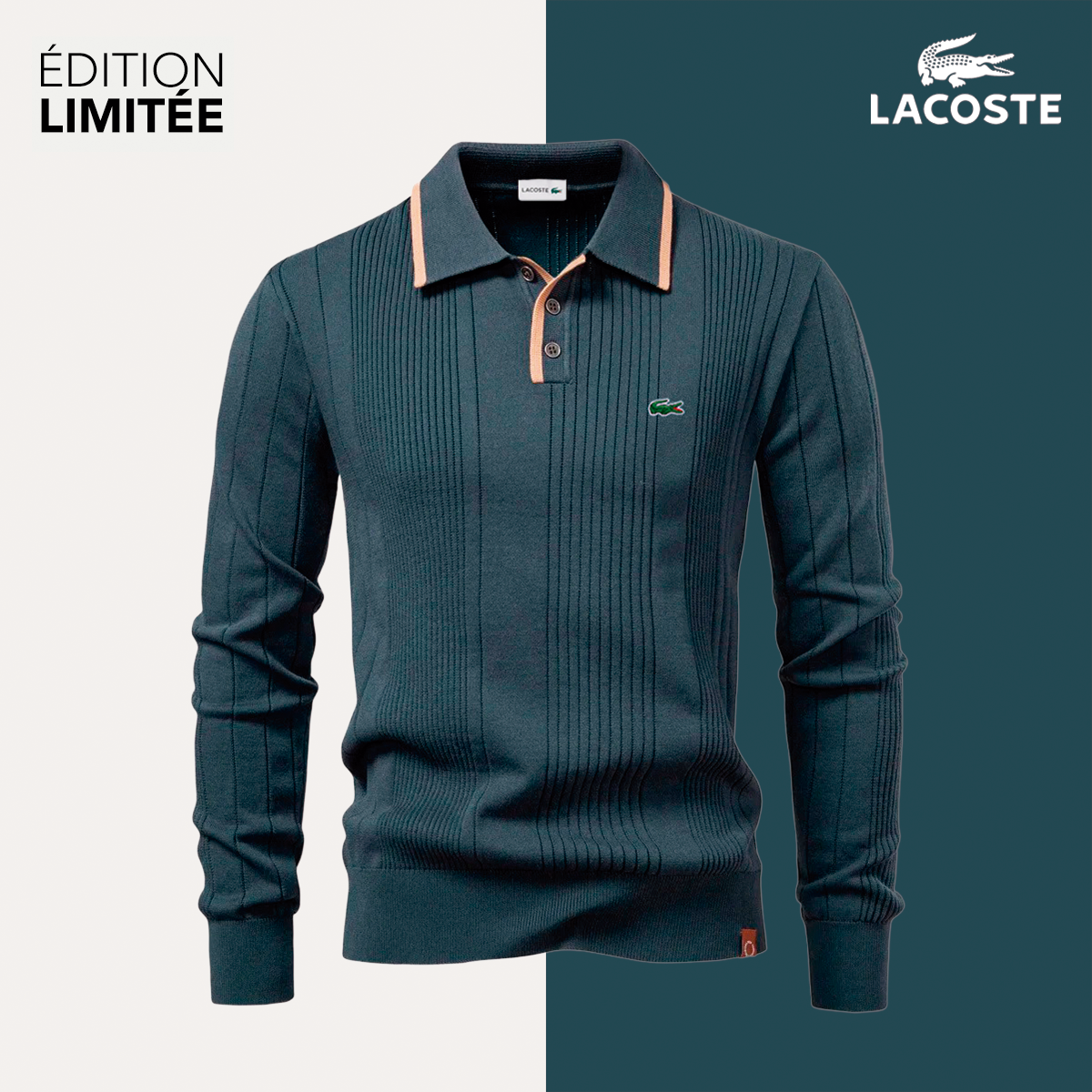 Pull en tricot traditionnel